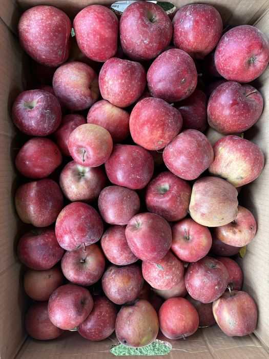 Продам яблоки на кг или можете коробку купить есть 8 коробок из сада