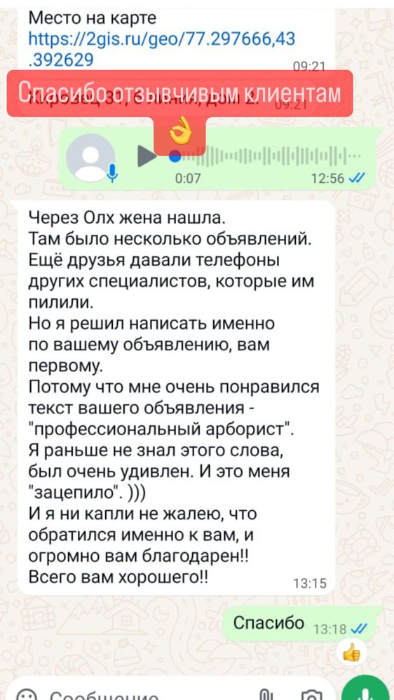 Спил деревьев Алматы и области.Спил распил деревьев.Обрезка.
