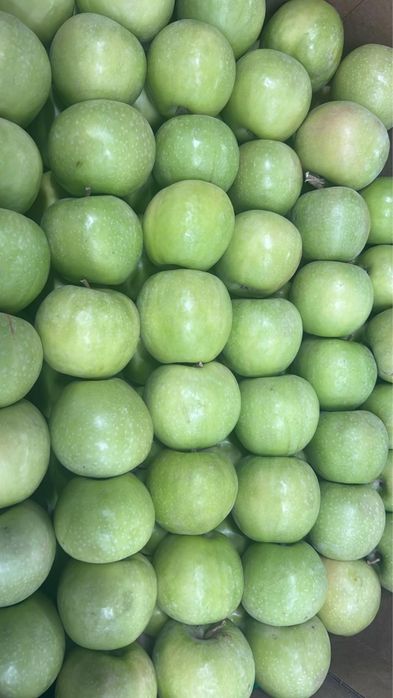 Яблоки свежее, 1 сорт, гренни смит. Алма сатылады оптом.