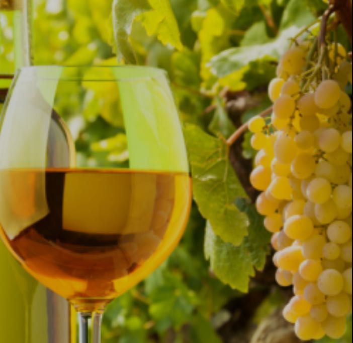 Vând struguri de vin