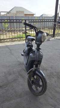 Sports electroni moped