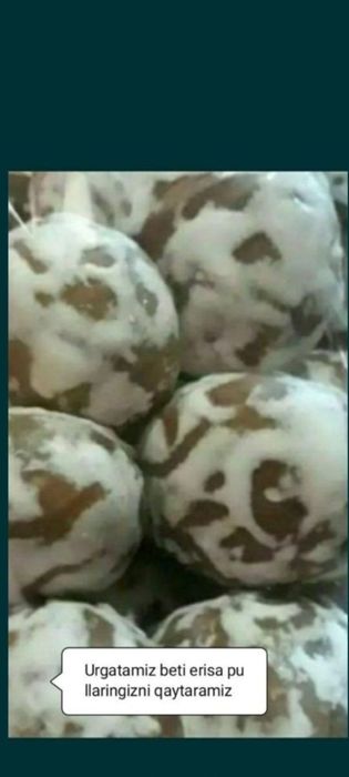 Pryanik o'rgataman bir kunda hamma sirlari bilan