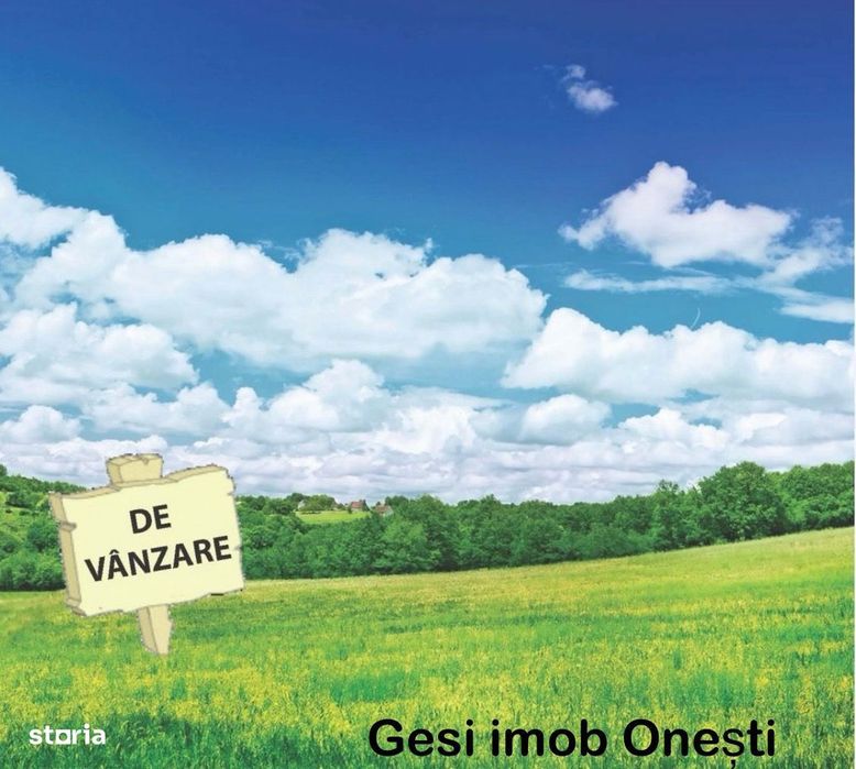 Teren - Calea Scutarului, Onești.