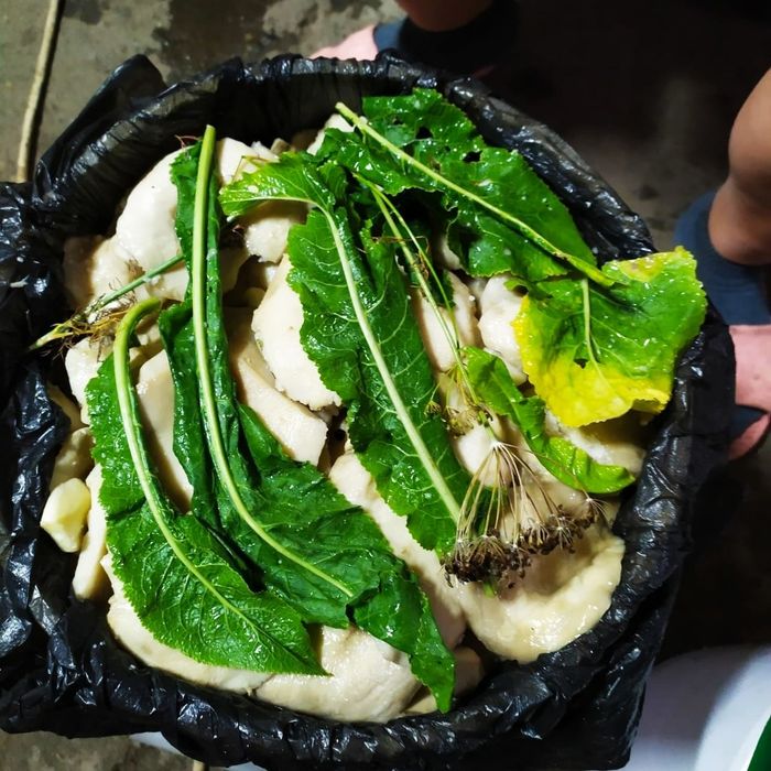 Продам грибы соленые и маринованные