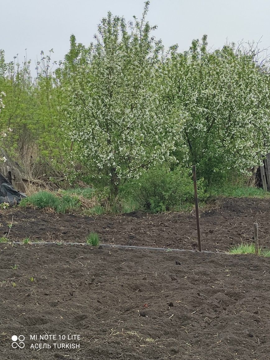 Продам дачу в садовом общество Тихая заводь