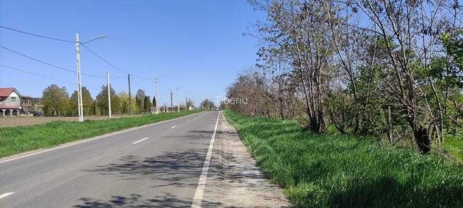 Vând 15000 mp teren