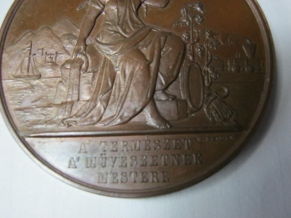 Medalie bronz,Medicina, 1870,Arad.F.rara.
