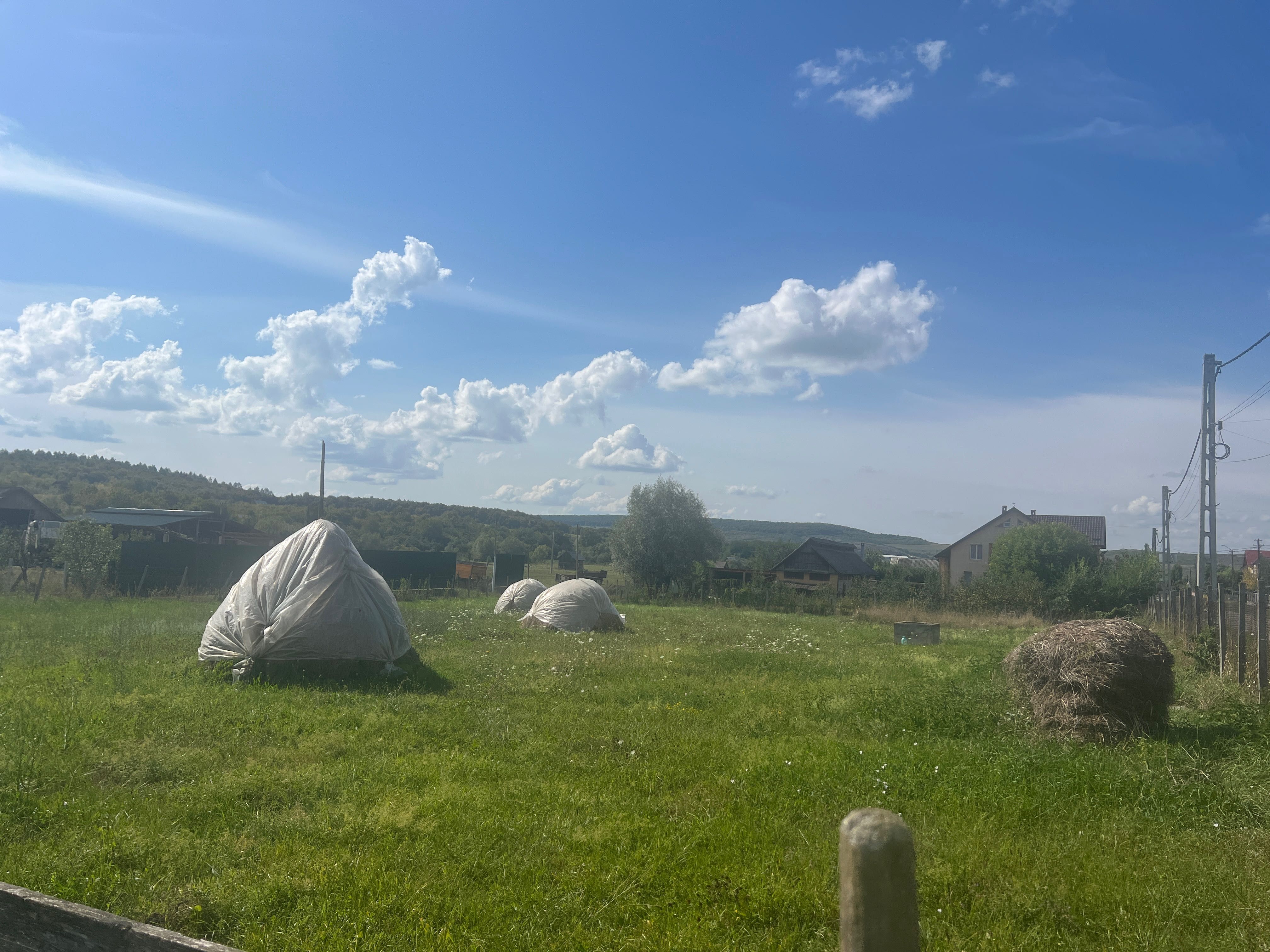 Teren pentru casă