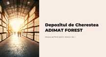 Cherestea Craiova