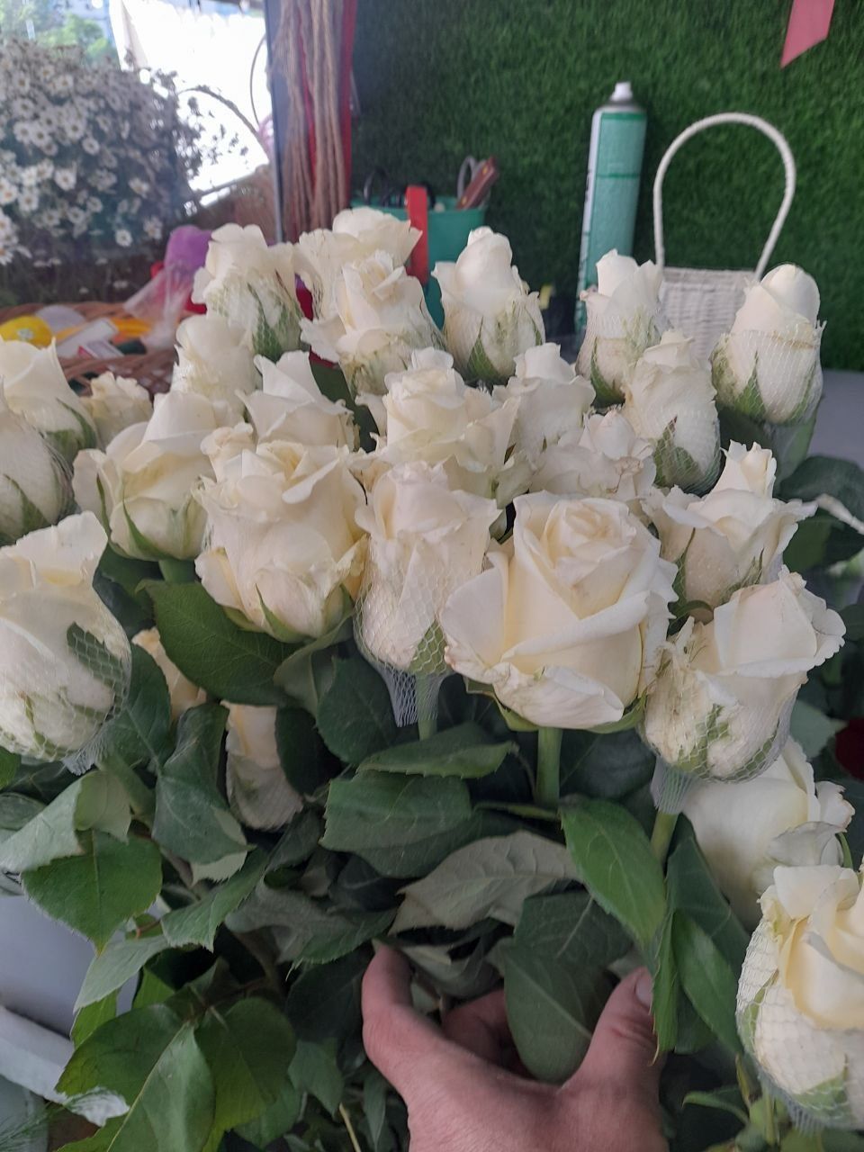 Розы по низким ценам 101шт 650.000сум