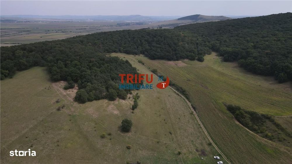 Teren cu priveliște și pădure pentru cabane de vânzare în suprafață de