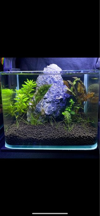 Acvariu mic nano acvariu