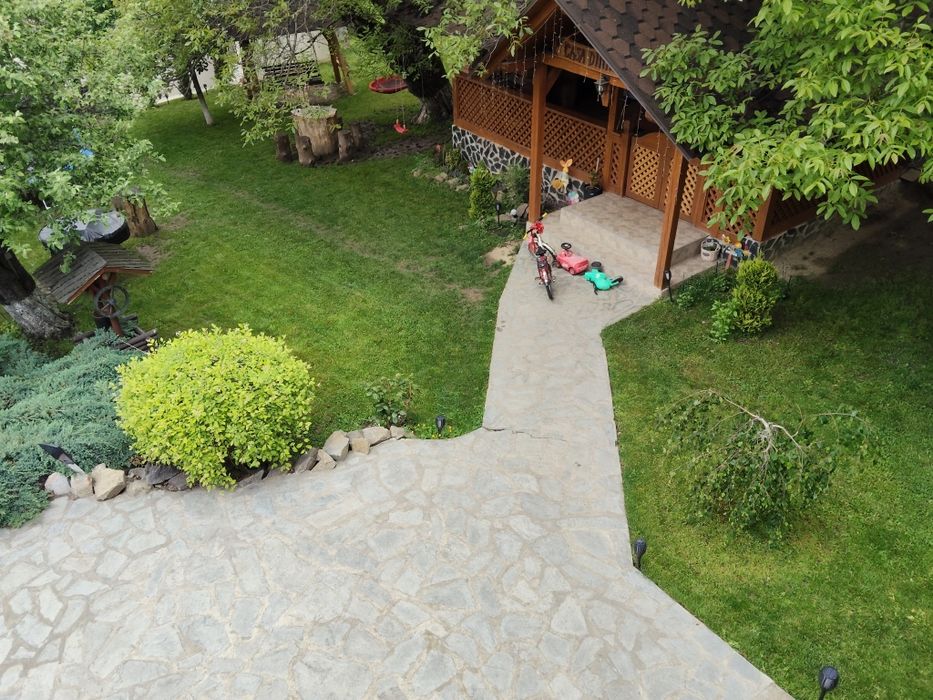 Cazare Casa dintre pini