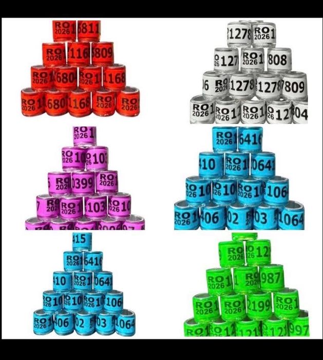 Inele 2026  1leu buc