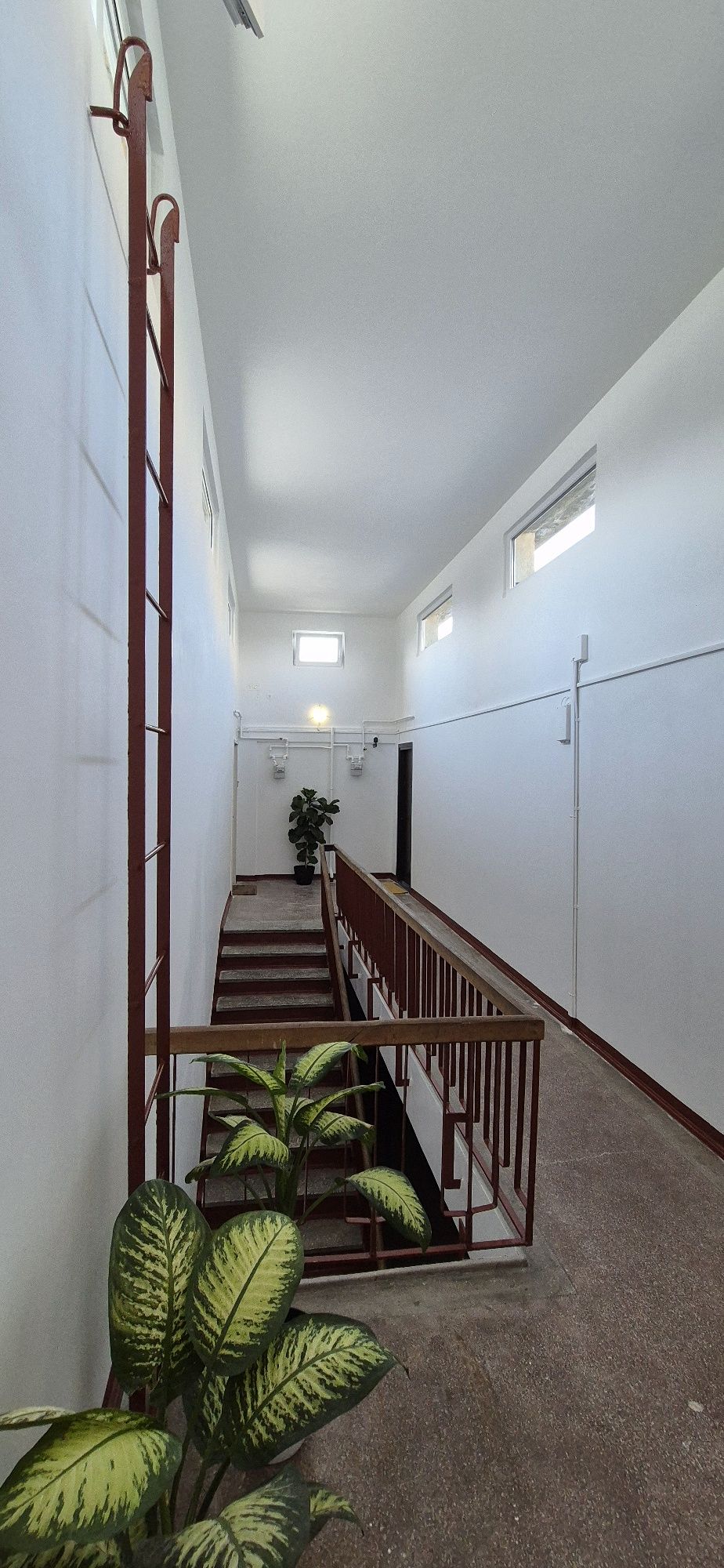 Zugravit Renovat Amenajare scări de bloc