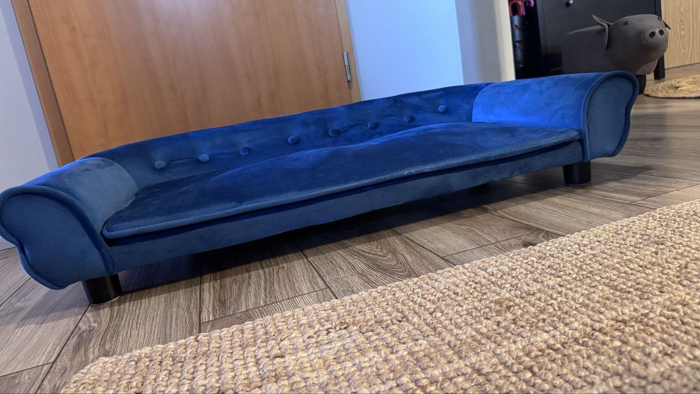 Pat  canapea de câini, albastru, 100x50x21 cm, catifea