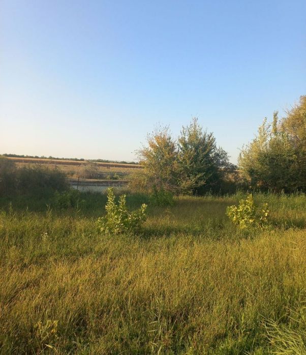 Срочна прадаёция янги базар 5 гектор ер ферма килса хам булади репром