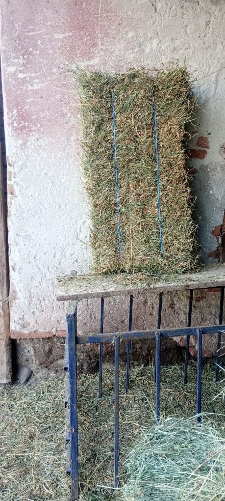 Baloți de lucernă