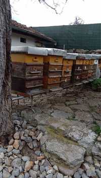 Кошери за пчели - многокорпусни