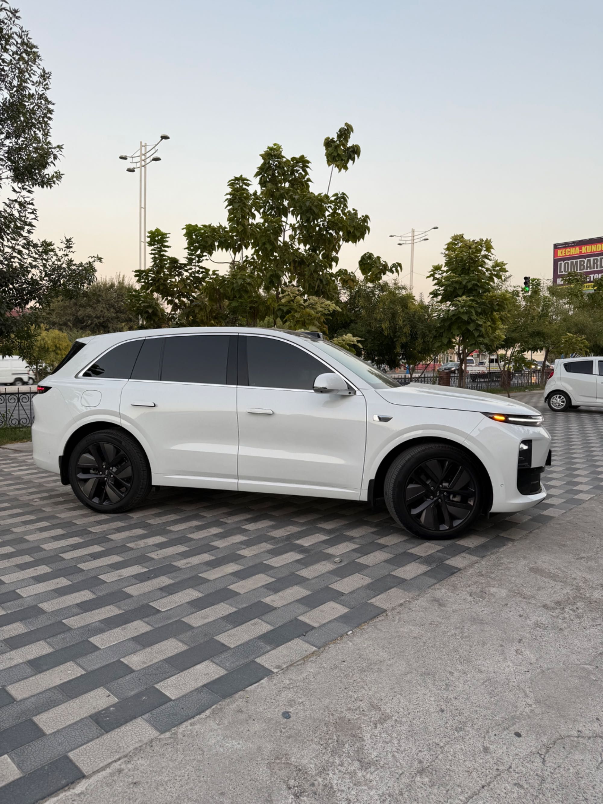 Lixiang Li 6 maks