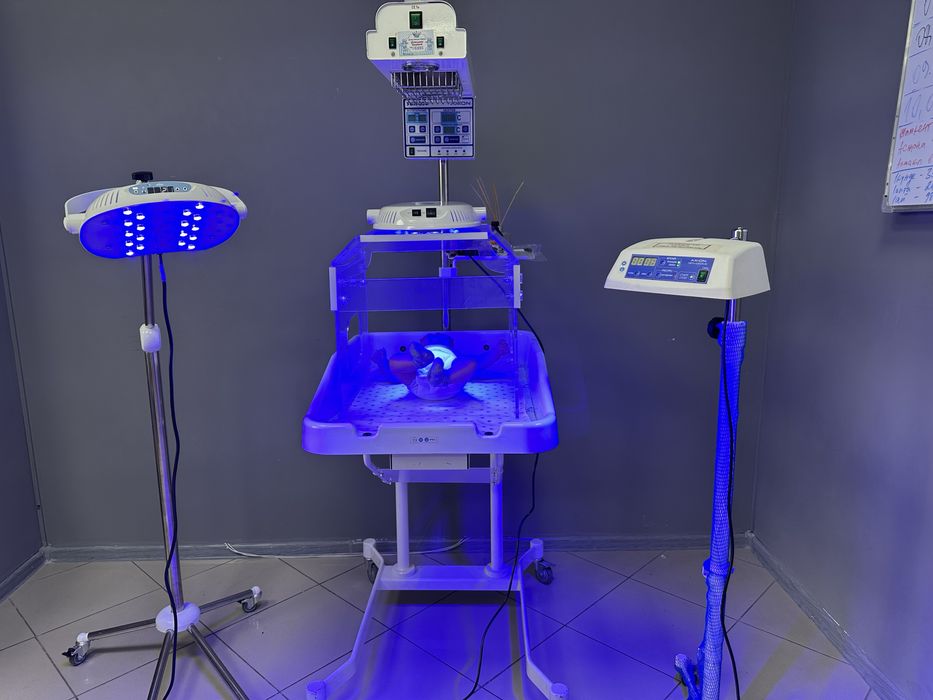 Аренда лампы от желтушки фотолампа БИЛИТЕСТ УФО