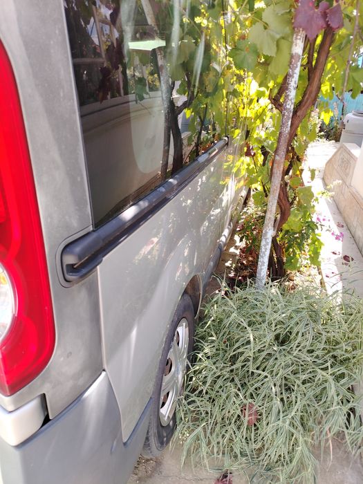 Opel vivaro 8+1, an 2010