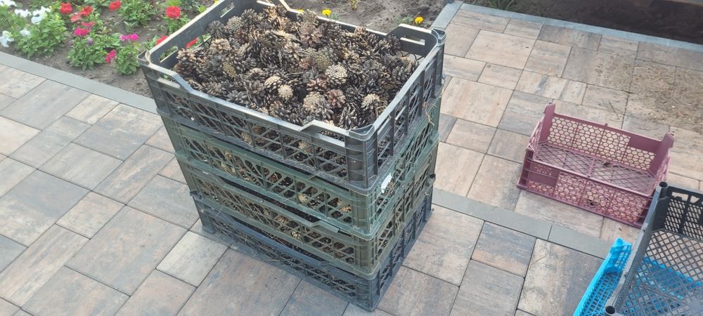 Шишки для самовара