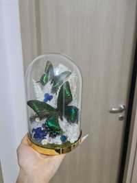 Decorațiune din sticlă cu fluturi