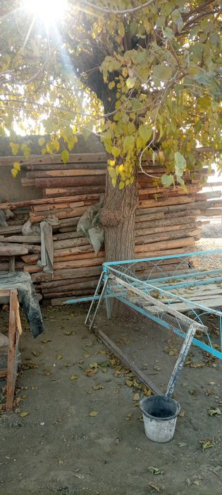 Taxta eshik derazalar va taxtalar sotiladi