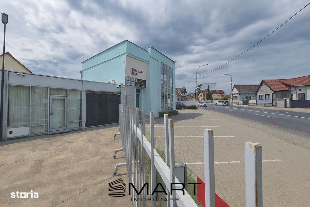 Spatiu comercial/showroom/birouri Turnisor