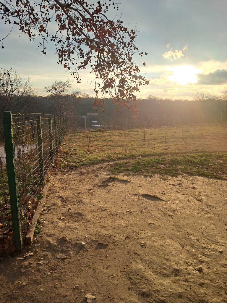 Продава се Парцел в с. Калипетрово, Област Силистра - 1176 кв.м за 15 €/кв.м - Снимка #2