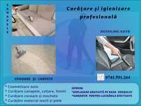Curățare cosmetizare igienizare canapele colțare saltele.