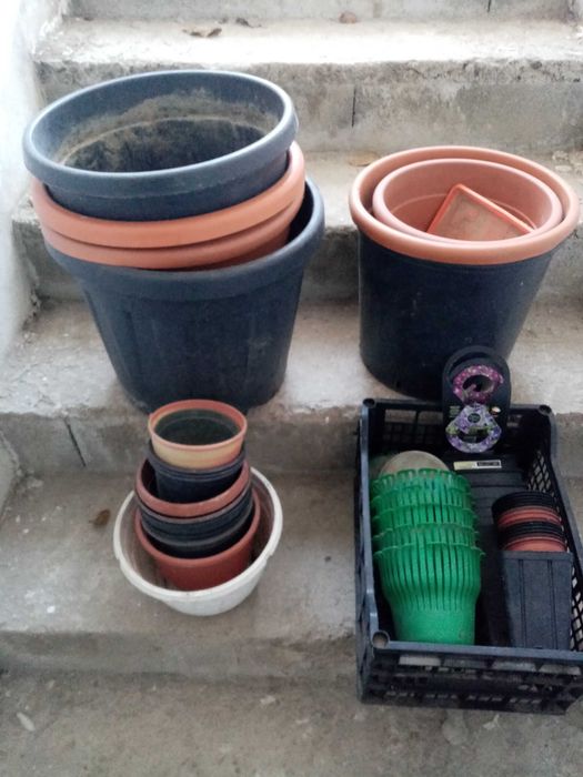 ghivece plastic rezistente