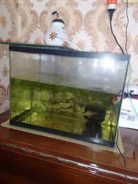 Продам аквариум 25 лит с рыбками