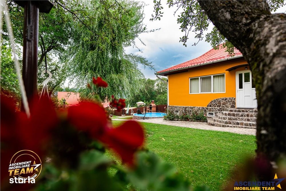 FILM&3D! Doua case cu:piscina,foisor,arbori decorativi,1.700mp teren,L