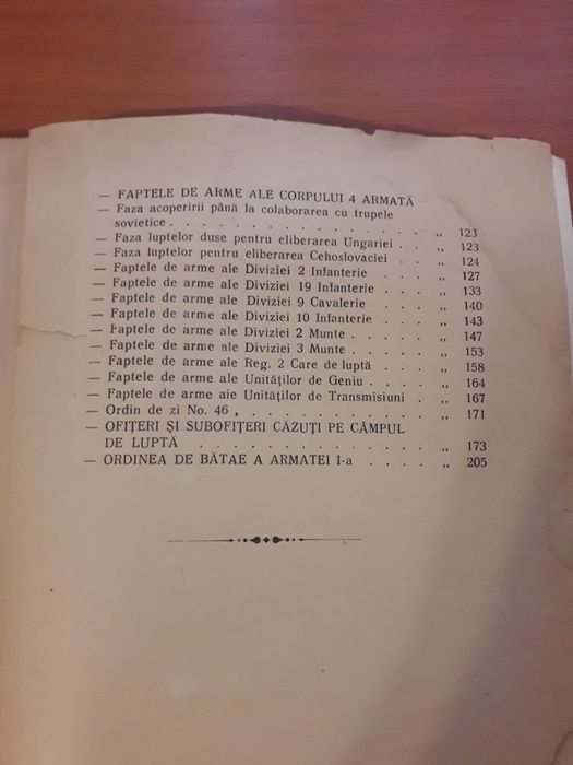 Armata 1 Română  Campania din west