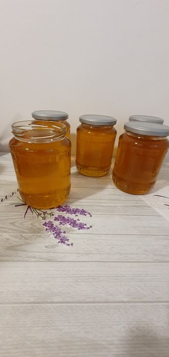 Miere de salcâm 2024 și Miere poliflora