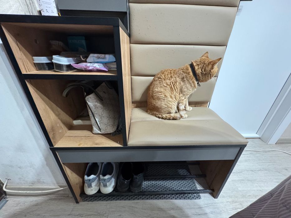 Продам прихожую лофт