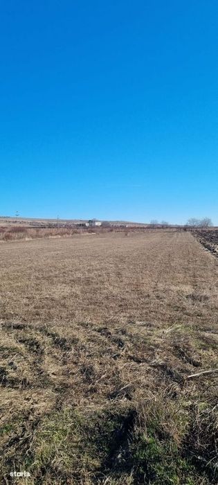 Teren 3.859 mp intravilan, 3.113 extravilan, Persunari - Gura Vadului!