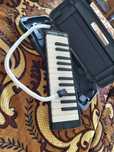 Hohner melodica student 26