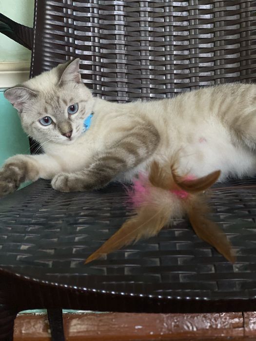 Продается. Sotiladi