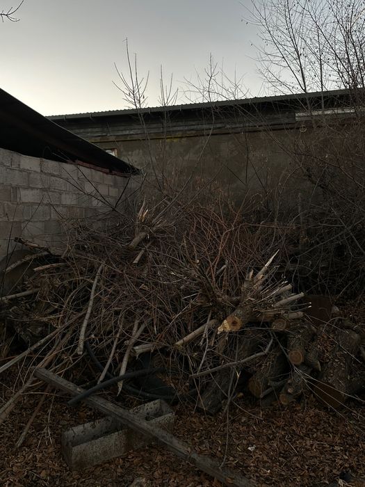 Отдам дрова бесплатно кому нужны