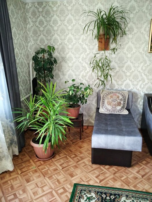 Продам дом в боровом