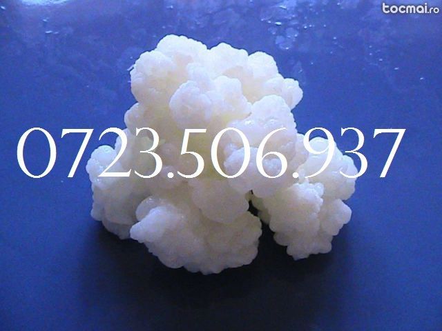 Ciuperca tibetana, Kefir de lapte, chefir, bio, Ciuperca, Chefir lapte