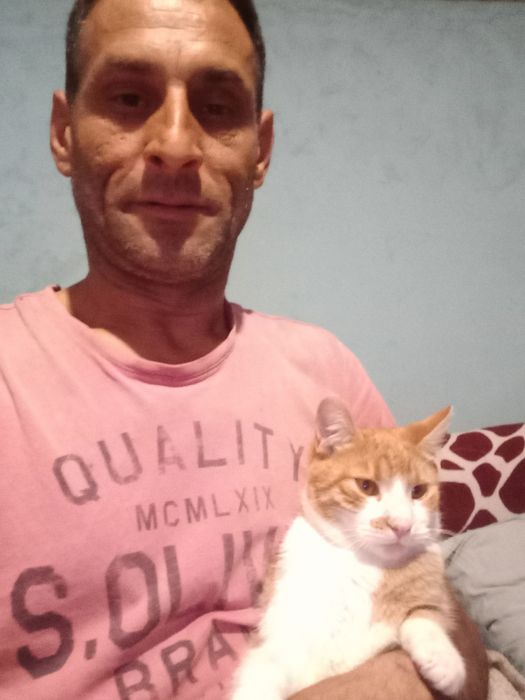 Donez pisici de rasă cine doresti