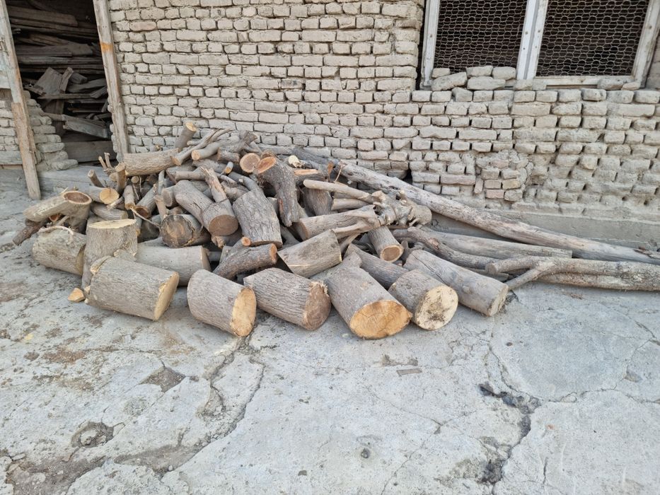 Утин Сотилади Кунда Шохлар