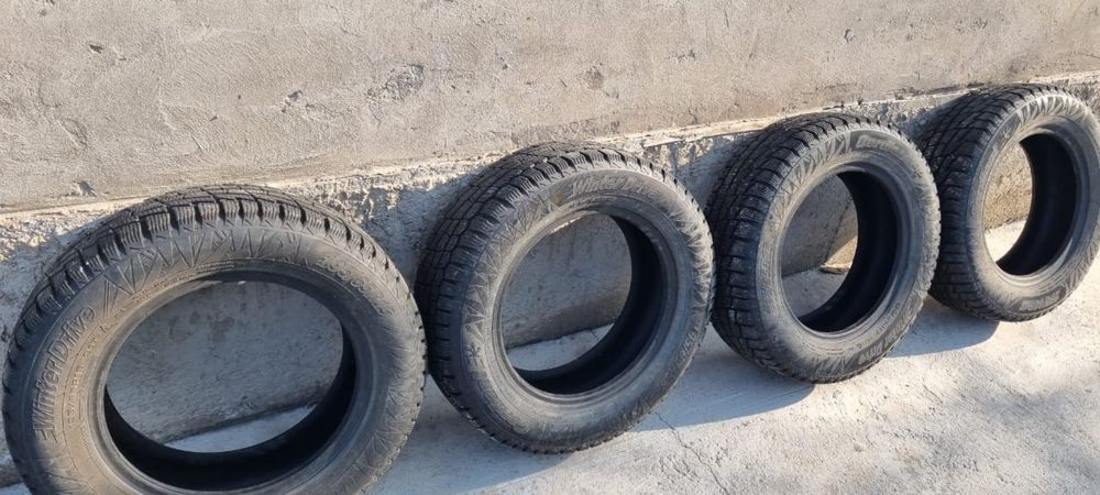 Шина зима 195,65,15