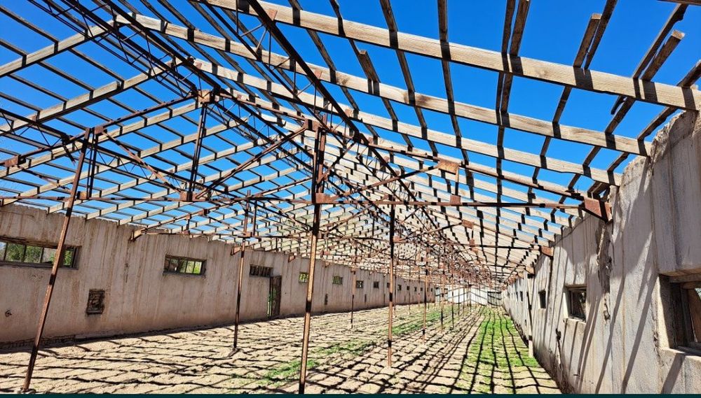 Ferma chorvachilik uchun eng arzon narxda shoshiling