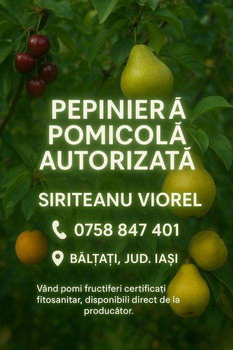 Pomi fructiferi certificati