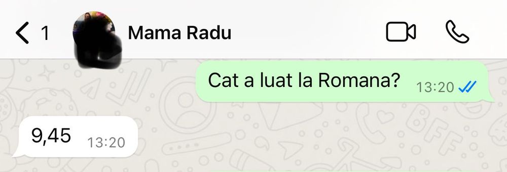 Profesor lb.romana-32 ani vechime - meditatii EN/BAC -SECT 4